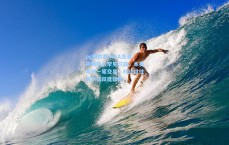 pg模拟器|NBA交易市场陷入罕见沉寂，本赛季仅一笔交易，对比过往两季活跃度骤降